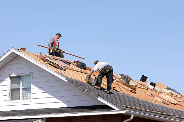 Reliable Palm River Clair Mel, FL Roofing services Solutions