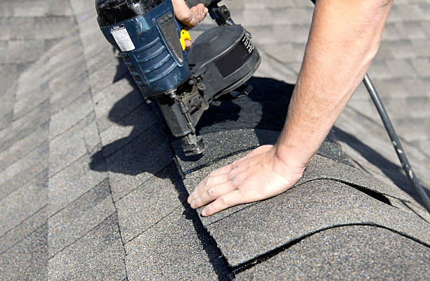 Best Roof Maintenance and Cleaning  in Palm River Clair Mel, FL